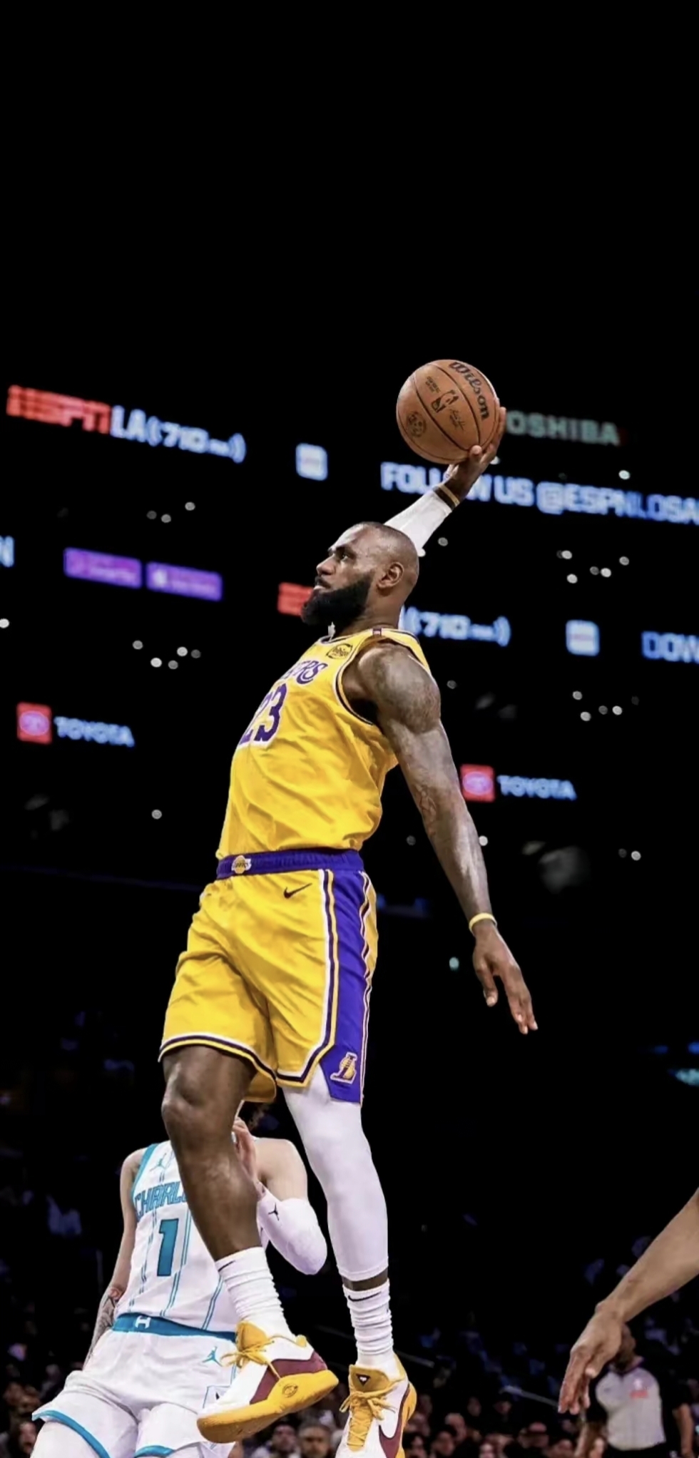 J9-詹姆斯迎来十五赛季高光表现，雄鹿球迷沸腾！的简单介绍